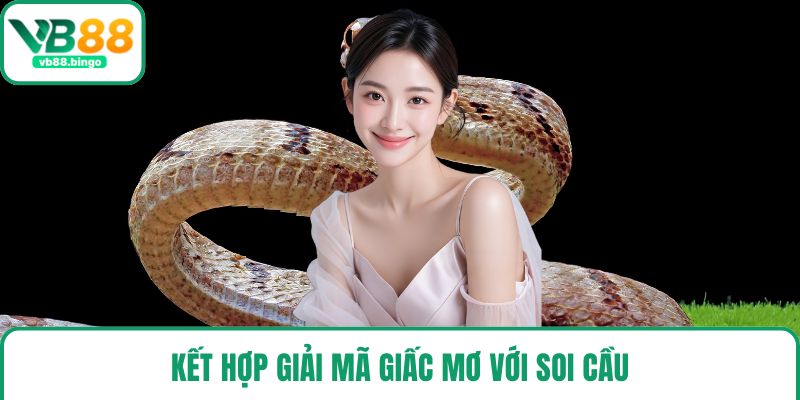 Kết hợp giải mã giấc mơ với soi cầu