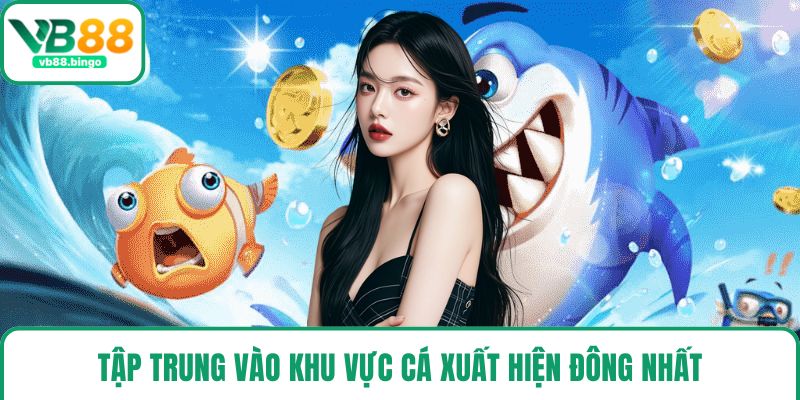 Tập trung vào khu vực cá xuất hiện đông nhất